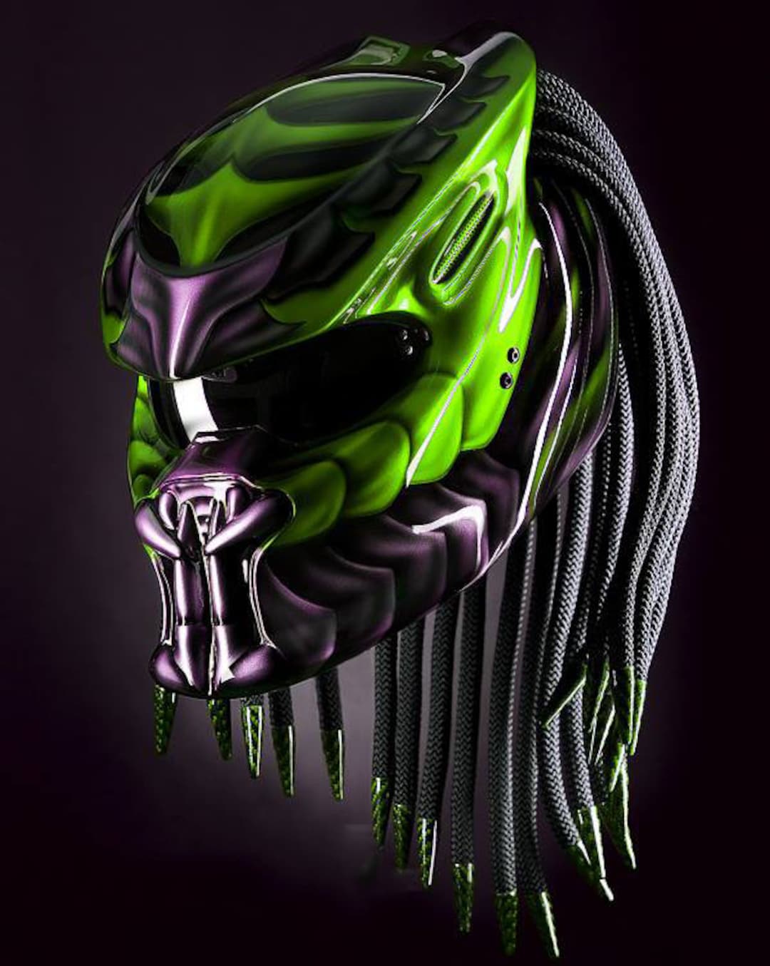 希少！中古本 田中 凜太郎The Motorcycle Helmet Green Ninja Motorcycle Helmet Custom DOT & ECE Approved - Etsy