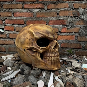 The Bone Skeleton Motorcycle Helmet Custom DOT and ECE Approved