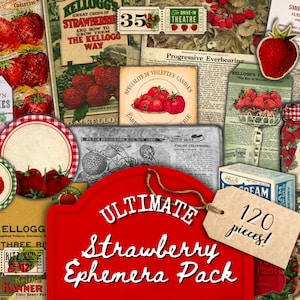 Strawberry Junk Journal Kit, Fussy Cut Strawberries, Vintage Ephemera, Strawberry Embellishments, Printable, Digital Download, PDF bundle