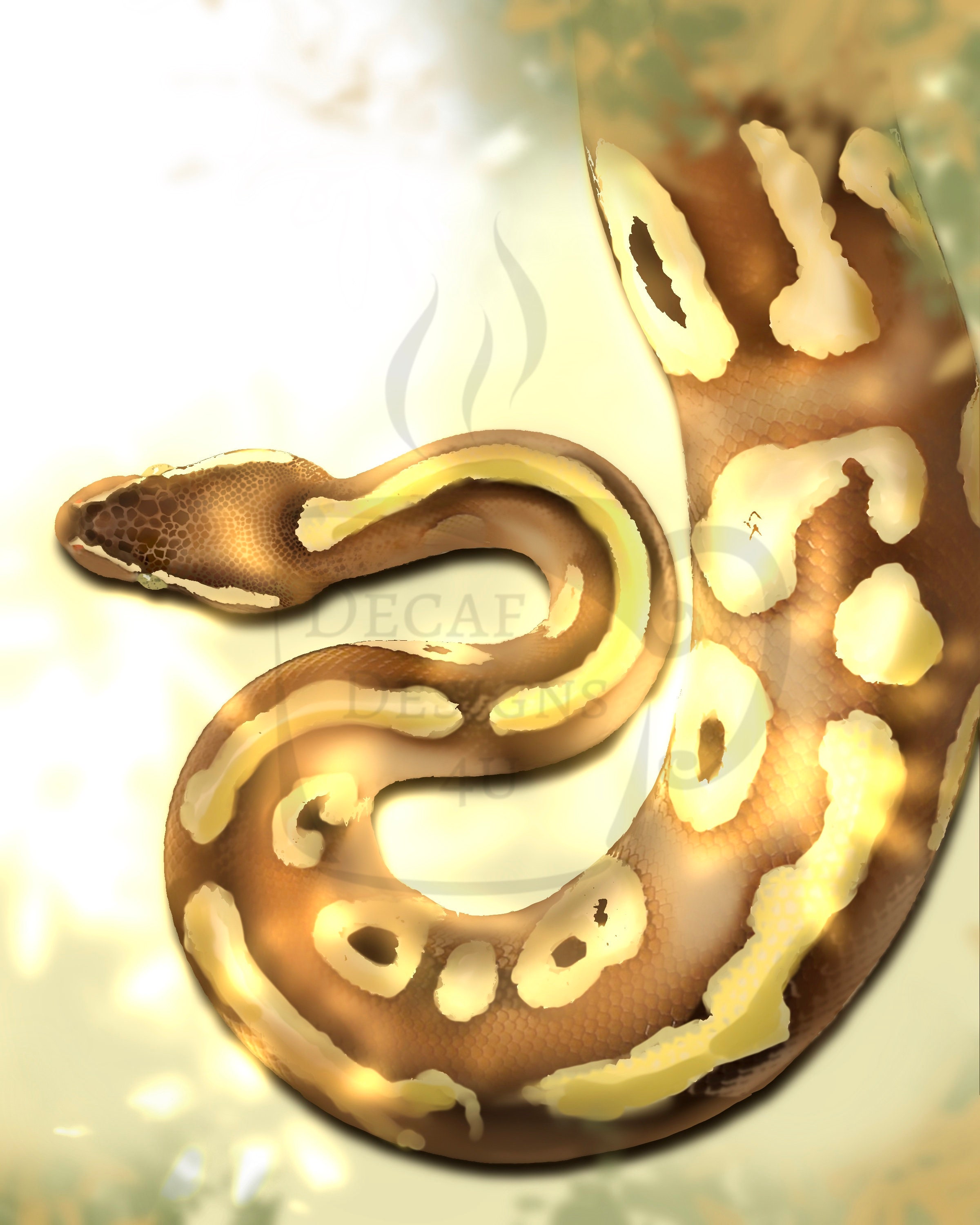 Ball Python Art Digital Download Python Art Snake Drawing | Etsy