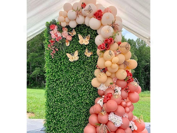 Image of Balloon Vine in a terrarium with orange balloons