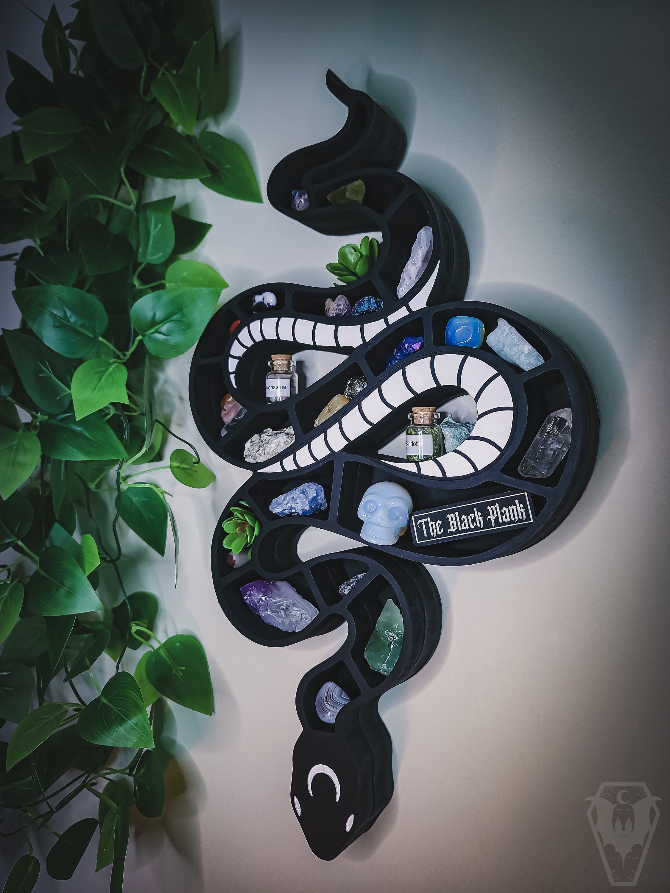 Snake Shelf ubicaciondepersonas.cdmx.gob.mx