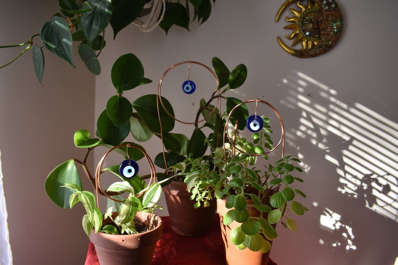 May include: Three potted plants with copper wire circles and blue evil eye charms hanging from them. The plants are in terracotta pots and are sitting on a red surface.