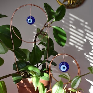 May include: Two potted plants with copper wire circles holding blue evil eye charms. The plants are in terracotta pots.