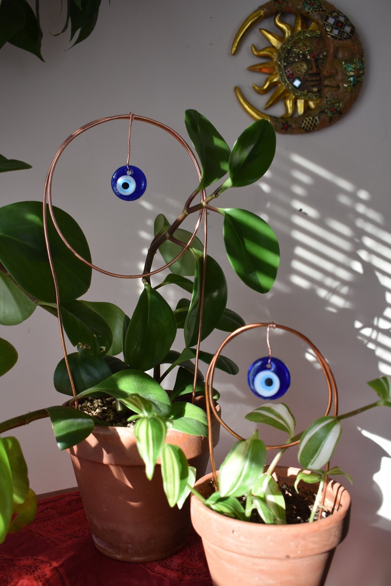 May include: Two potted plants with copper wire circles holding blue evil eye charms. The plants are in terracotta pots.
