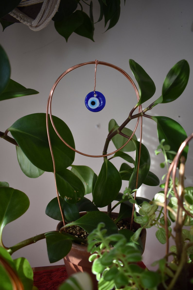 May include: A potted plant with green leaves and a copper wire hoop with a blue evil eye charm hanging from it.