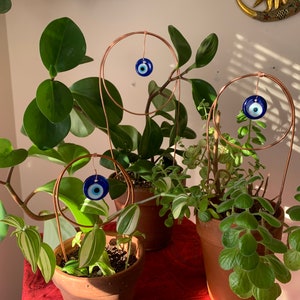 May include: Three potted plants with copper wire hoops decorated with blue and white evil eye charms. The plants are in terracotta pots and are on a red and white patterned surface.