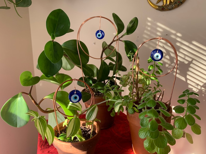 May include: Three potted plants with copper wire hoops decorated with blue and white evil eye charms. The plants are in terracotta pots and are on a red and white patterned surface.