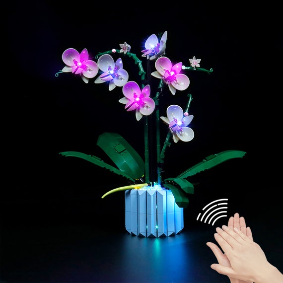 LED Light Kit for LEGO 10311 Orchid Plant Decor Building Set, Light Kit  Only, Model NOT Included 