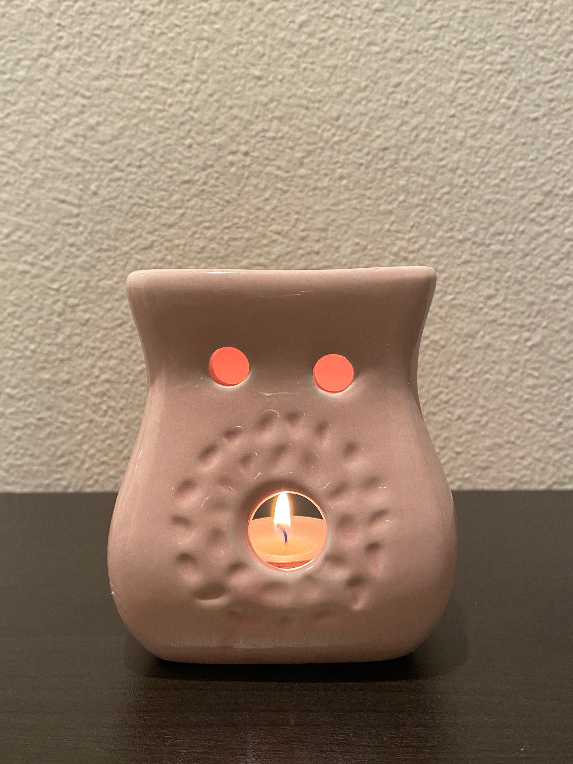 Tea light wax warmer gift set Etsy