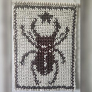 May include: A handmade, rectangular wall hanging featuring a crocheted design of a dark brown insect with a star above it, set against a cream-colored background. The border and the insect's outline are also dark brown. A cream-colored fringe hangs from the top.