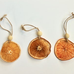 Set of 3: Assorted Citrus Ornaments