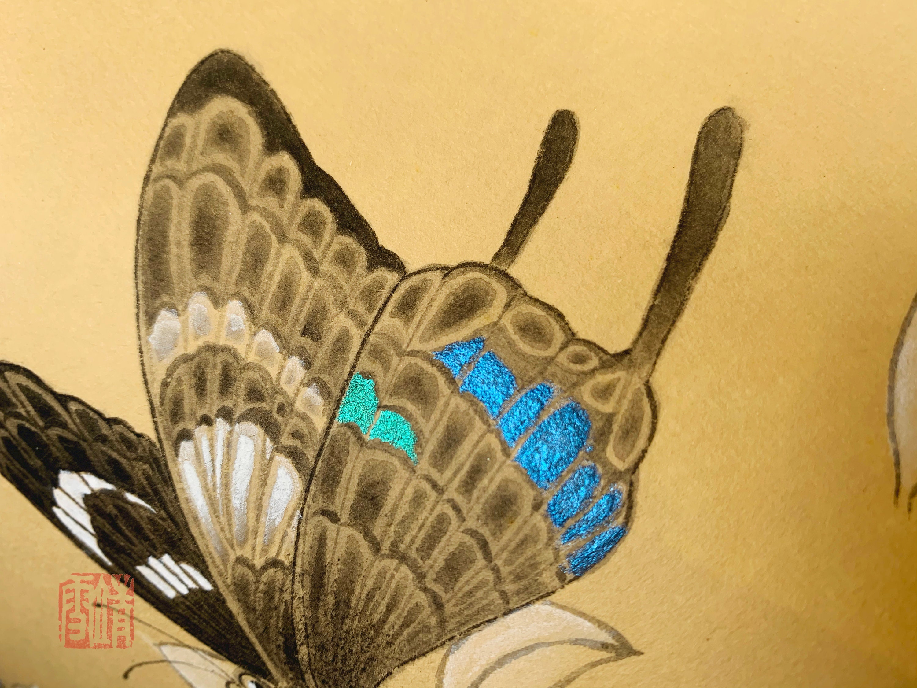 Traditional Chinese Painting Butterfly Original Work Etsy Australia