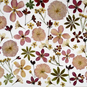 Fiori pressati commestibili, biologici. Da abbinare a fiori rosa e rossi. Fiori per torta, torta. Compleanno. Nozze. Torta di fiori. GD28