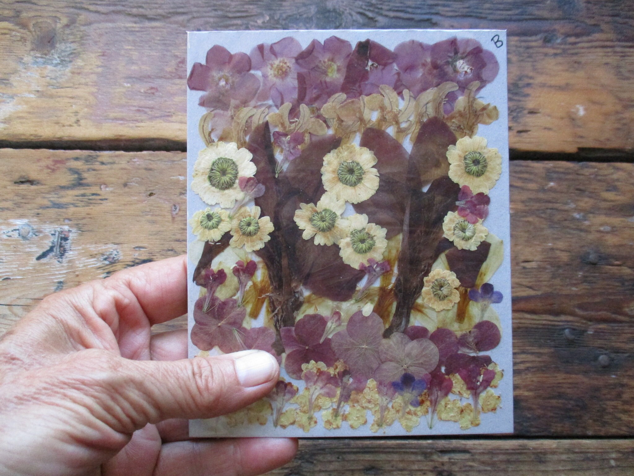 Real Pressed Flowers. Dried Flowers. Mixed Flowers. Flowers Etsy UK