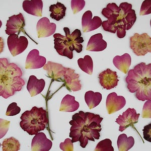 Puede incluir: Vista cenital de flores y pétalos secos en tonos rosa, rojo y amarillo dispersos sobre una superficie blanca. La disposición incluye flores enteras, pétalos en forma de corazón y pétalos individuales, creando una estética romántica y natural.