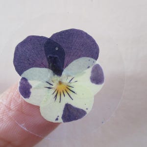 Pegatinas de flores reales, Violetas, 12 pegatinas de flores transparentes, 30 mm de diámetro. Pegatina de flor transparente, pegatina de cierre (St57)