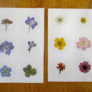 Autocollants fabriqués à partir de vraies fleurs pressées. Autocollants ronds et transparents de 40 mm de diamètre. 12 pièces mélangées. Autocollants de fleurs. Autocollant de fermeture (Sg23)