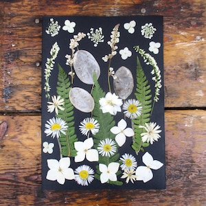 Veri fiori pressati, 33 pezzi, mix di fiori bianchi. Fiori secchi, arte floreale, progetti in resina, creazione di cartoline, album ecc. GBol1