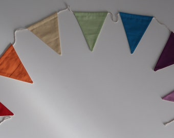 Rainbow Bunting