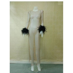 VERONIKA Rhinestone Mesh Long Sleeve Feather See - through Dress.
