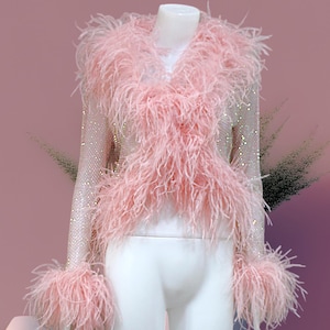 Puede incluir: Top rosa claro de manga larga, cuello en V y puños, adornado con suaves plumas rosas. La prenda se exhibe sobre un maniquí blanco sobre un fondo rosa claro. Las mangas y el corpiño están adornados con detalles brillantes.