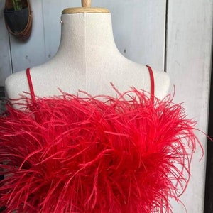 Red Feather Crop Top