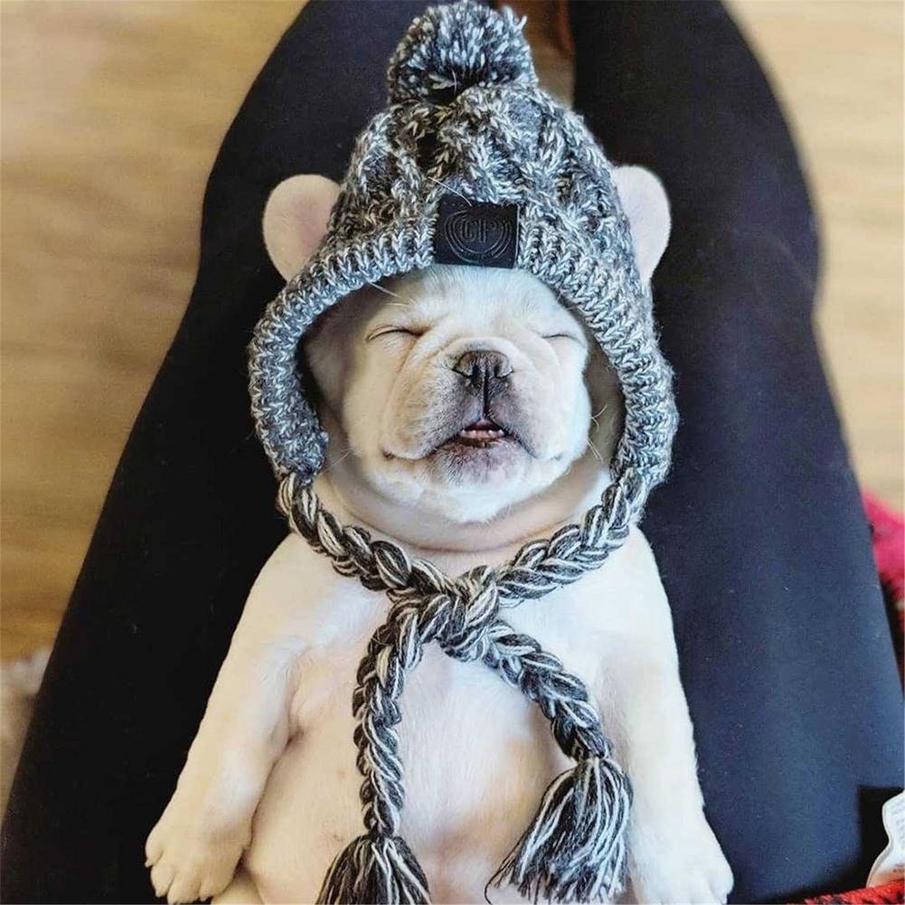 Windproof Hat Dog Hats Puppy clothes gift Winter Warm Knitted Etsy