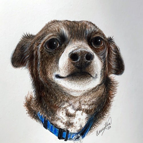 Colored Pencil Pet Portraits, Custom Pet Portraits, Personalized Gift for Pet Lover, Pet shops Memorial, Cat Portraits, Dog Portraits