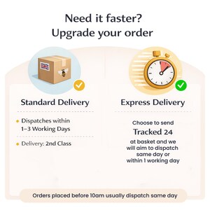 May include: An image with the text "Need it faster? Upgrade your order." It shows two delivery options: Standard Delivery with a box and Express Delivery with a stopwatch. The text describes dispatch and delivery times.