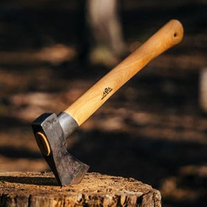 Peut inclure: Une hache avec un manche en bois et une lame noire est plantée dans une souche d'arbre. La hache a un manche en bois brun clair et une tête en métal foncé. L'arrière-plan est une forêt floue.