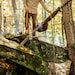 Jauregi Basque Racing Axe: Handmade Artisanal Forged Axes From Urnieta ...