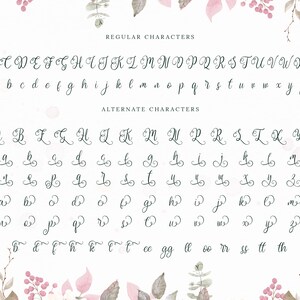 Pu&ograve; includere: Un grafico di alfabeto di font con lettere maiuscole e minuscole in uno stile di scrittura corsivo. Le lettere sono scritte con inchiostro nero su uno sfondo bianco. Il grafico &egrave; decorato con illustrazioni floreali ad acquerello in tonalit&agrave; di rosa e verde.