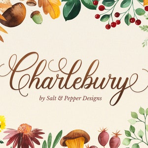 Fonts, Script Fonts, Handwriting Fonts, Calligraphy Fonts, Fonts for Cricut, Cricut Fonts, Procreate Fonts, Canva Fonts, Craft Fonts, Font