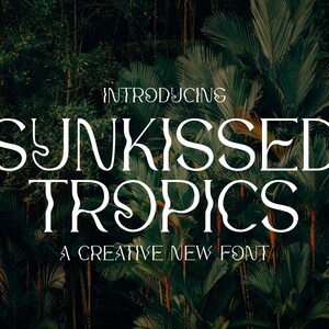 Fonts, Vintage Fonts, Retro Fonts, Hipster Fonts, Smooth Fonts, Procreate Fonts, Canva Fonts, Cricut Fonts, Serif Fonts, Sans Fonts