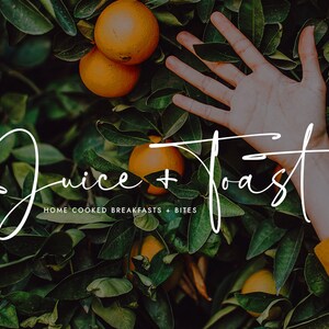 Fonts, Script Fonts, Elegant Fonts, Wedding Fonts, Calligraphy Fonts ...