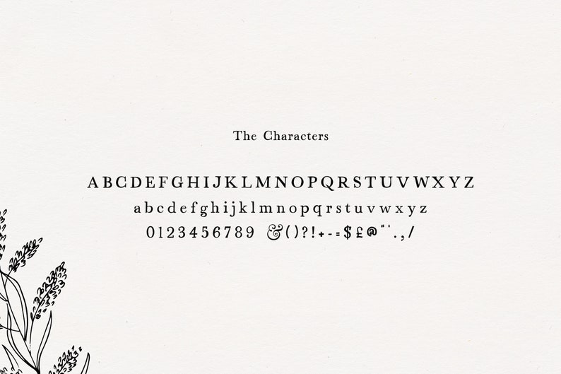 May include: A font alphabet chart showing uppercase and lowercase letters, numbers, and punctuation marks. The text reads "The Characters".