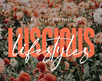 Fonts, Script Fonts, Cursive Fonts, Calligraphy Fonts, Font Duo, Stylish Fonts, Instagram Fonts, Design Fonts, Summer Fonts, Thick Fonts