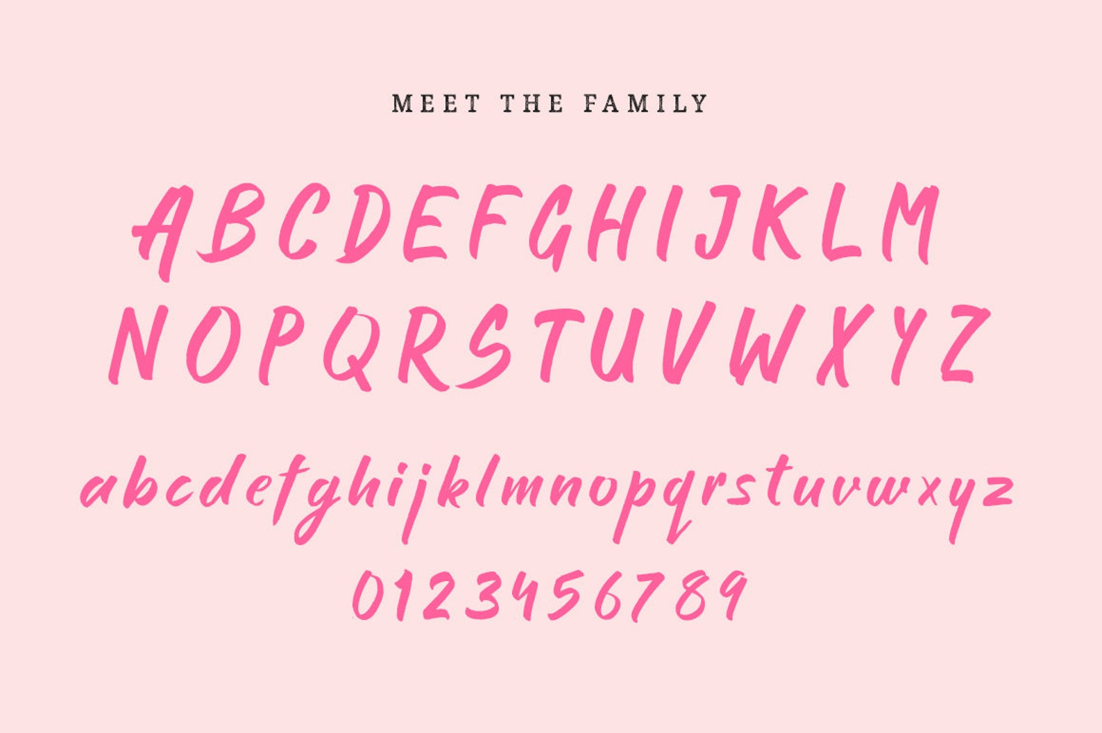 Fonts Commercial Use Fonts Brush Fonts Handwritten Fonts Etsy