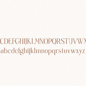 May include: An image of the alphabet in uppercase and lowercase letters. The letters are in a serif font and are brown in colour.
