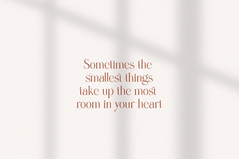 May include: A white background with a shadow pattern. The text "Sometimes the smallest things take up the most room in your heart" is written in brown.