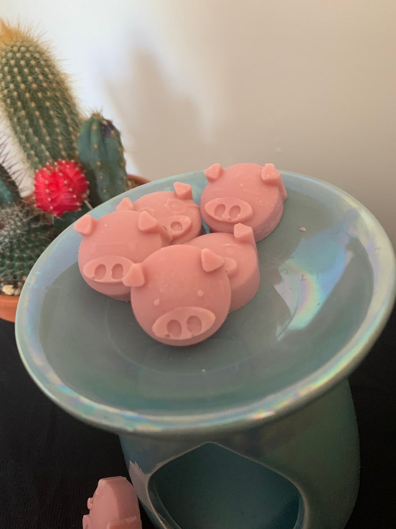 Novelty Pig Wax Melts. Pig Wax Melts. Pig Lover Present. Pig Etsy UK