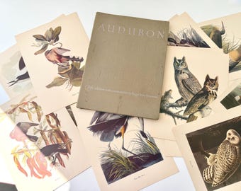Vintage Audubon Birds of America Portfolio, 25 Full Color Bird Prints, Roger Tory Peterson