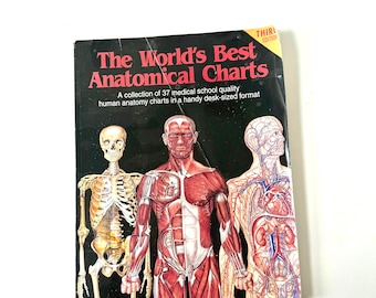 Vintage Anatomical Charts Book, Human Anatomy, Full Color Medical Illustrations, Oversized