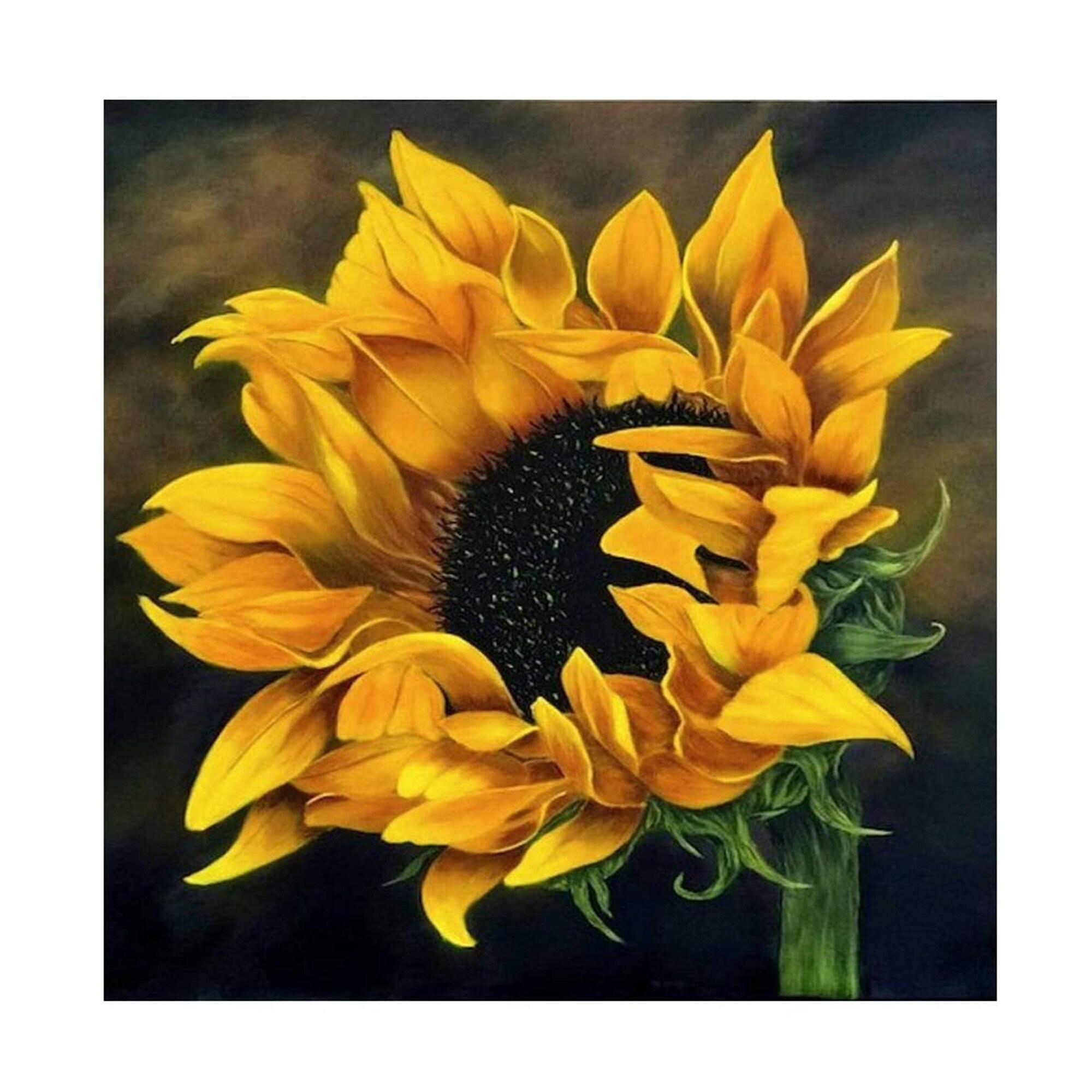 Sunflower Diamond Painting Kit Etsy