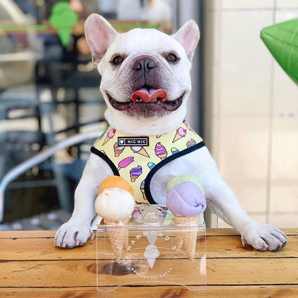 Ice-cream Popsicle Harness & Leash for Pets Dogs and Cats | English French Bulldogs/ Pugs Frenchie | No pull walk training | Yellow Summer