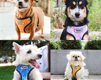 Personalized Harness for Dogs and Puppies | Adjustable, Breathable, and Reflective | Customizable with your pet's name