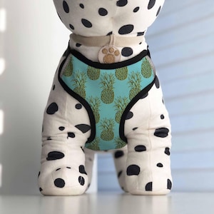 Pineapple Harness for Dogs and Puppies | Adjustable, Breathable, and Reflective | Customizable with your pet&#39;s name