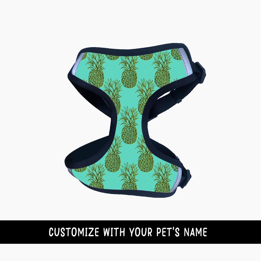 Pineapple Harness for Dogs and Puppies Adjustable and Etsy