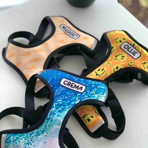 Personalized Harness for Dogs and Puppies | Adjustable, Breathable, and Reflective | Customizable with your pet&#39;s name